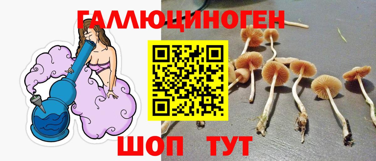 хочу наркоту  Псилоцибиновые грибы Psilocybe  Псилоцибиновые грибы Cubensis  Вход с VPN  Луга 