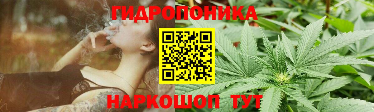 Шишки марихуана сатива Луга